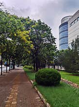 Sidewalks and surrounding greenery beside the road.