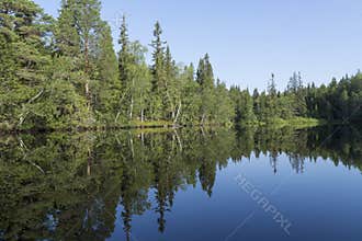 A perfect reflection by the lake of the coniferous forest