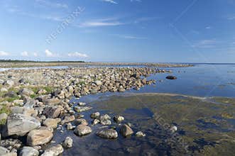 The peaceful coastal stone landscape of the Solovetsky Islands
