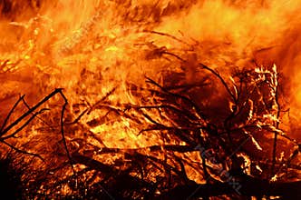 Abstract background wild flames of bush fire