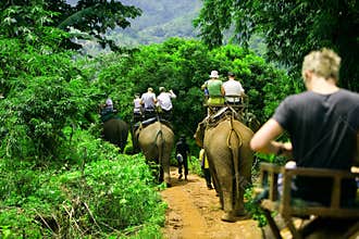 Elephant ride