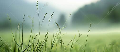 Beautiful Nature Landscape Background