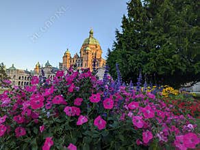 Legislative Assembly of British Columbia