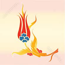Ottoman tulip flower