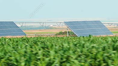 A panning of several solar panels array installed in an agricultural field