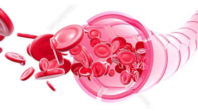 3D animation of glass artery or vein with the movement of red blood cells.