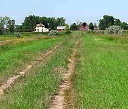 Laneway to old homestead.