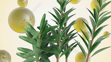 Melaleuca alternifolia or tea tree and essential oil droplets