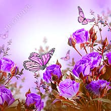Bouquet of delicate roses and butterfly, floral
