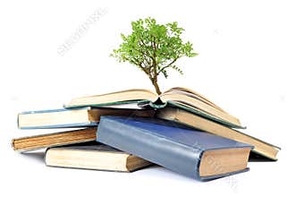 Tree and books