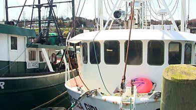 Docked fishing boats cape cod; 2