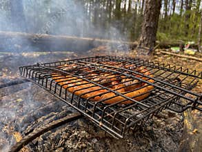 meat is grilled on a barbecue in the forest in nature