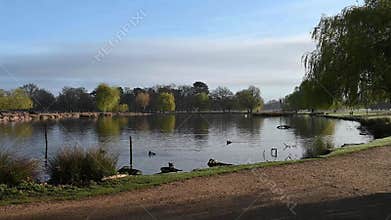 Springtime around the ponds at Bushy Park