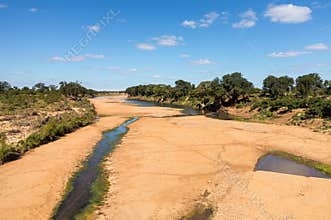 Dry river bed in Kruger National Park