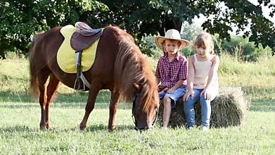 Little girl and boy with pony horse