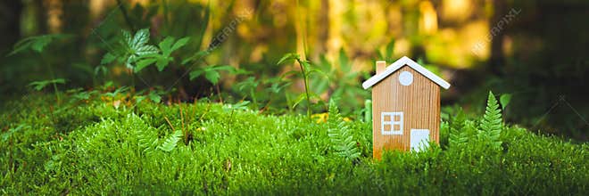 Eco House In Forestt