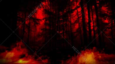 Trees Consumed by Flames and Shrouded in Thick, Rolling Smoket