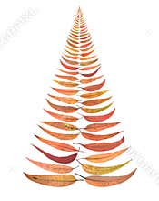 Australia Australian Christmas Tree Leaves