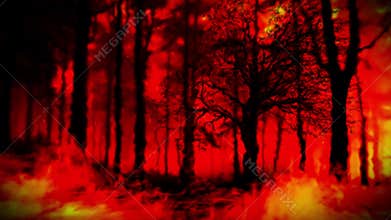 Trees Consumed by Flames and Shrouded in Thick, Rolling Smoket