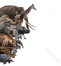 Wild Animals Collage