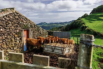 Landscapes at Azores islands, hiking at Santa Maria, Portugal, travel in Europe