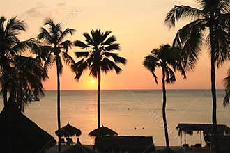 Aruba Sunset