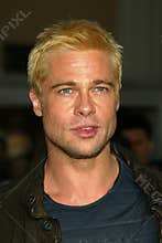 Brad Pitt
