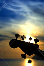 Bass guitar in the dusk