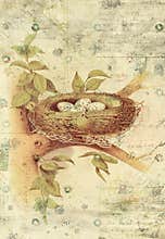 Nest and Bird Eggs Botanical Vintage Style Wall Art with Textured Background