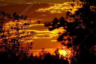 Sunrise