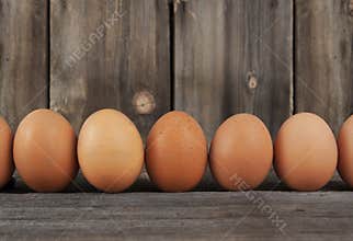 Brown Chicken Eggs Row