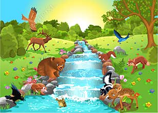 Animals drinking water
