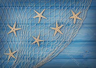 Seastars on the fishing net