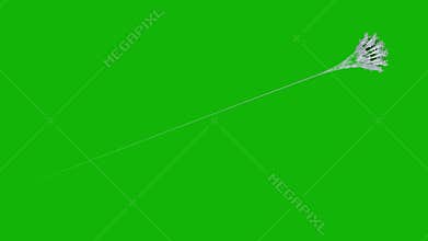 Web top quality animated green screen video 4k