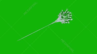 Web top quality animated green screen video 4k