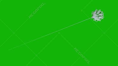 Web top quality animated green screen video 4k