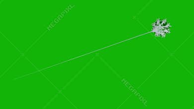 Web top quality animated green screen video 4k
