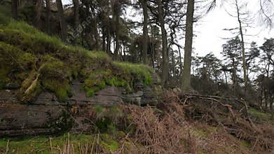Destination scenics at The Roaches in the Peak District National Park