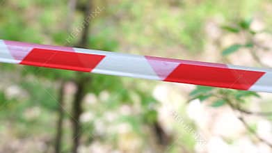 A red and white striped rope is hanging in the air. The rope is in a forest setting.