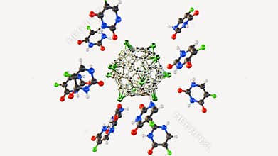 5-fluorouracil drug conjugates alkali metal decorated fullerene