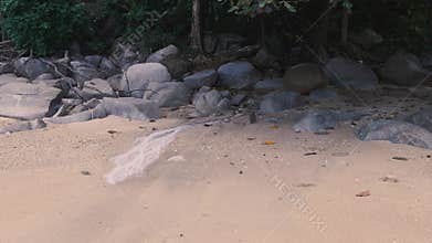 Dumping chemicals to tropical forest beach sand and stones