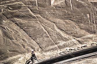 Nazca Lines - Tree fugure