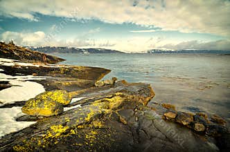 Rocky shore