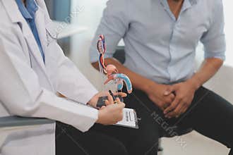 Urologists advise patients about prostate problems. Treatment of cancers of the urinary tract and male reproductive organs The