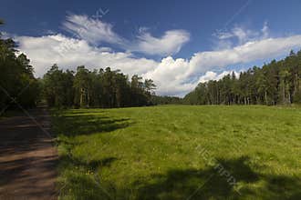 A field, a country road and a cloudy sky