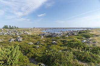 Soft sunlit coast of Solovetsky Island