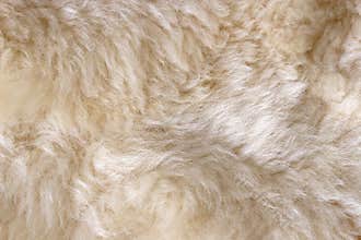 Sheep skin