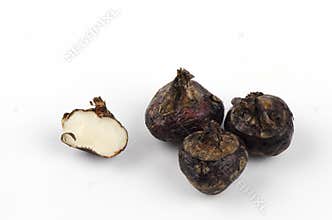 Ground chesnut (Eleocharis dulcis).