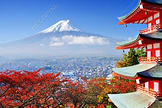 Mt. Fuji in Autumn