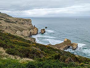 Dunedin, Tunnel beach